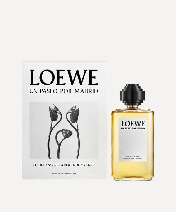 Loewe El cielo sobre la Plaza de Oriente for women and men