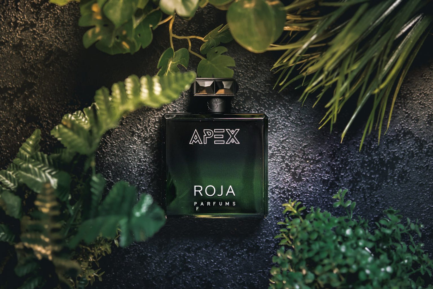 Apex Roja Dove for men