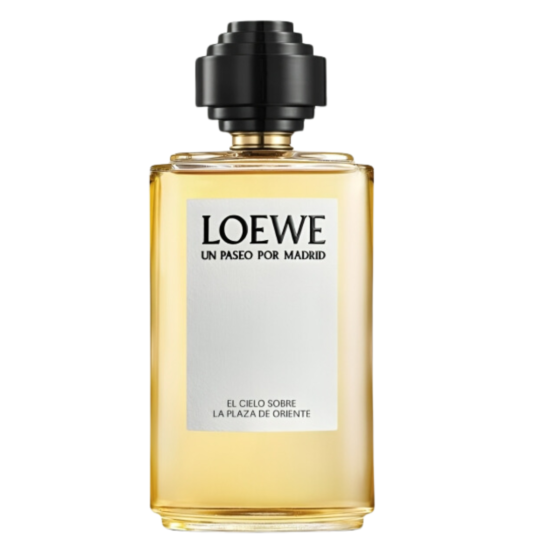 Loewe El cielo sobre la Plaza de Oriente for women and men